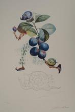 Salvador Dali (1904-1989) - Flordali, les Fruits : Prunier