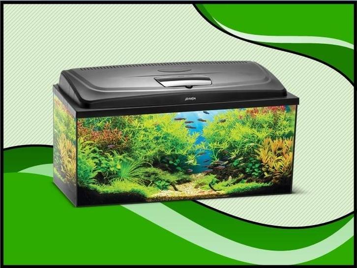 AQUA4 HOME 100 recht aquarium set  compleet (Aquarium sets), Animaux & Accessoires, Poissons | Aquariums & Accessoires, Envoi