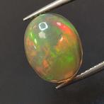 Opale - 3.19 ct - Antwerp Laboratory for Gemstone Testing, Verzamelen