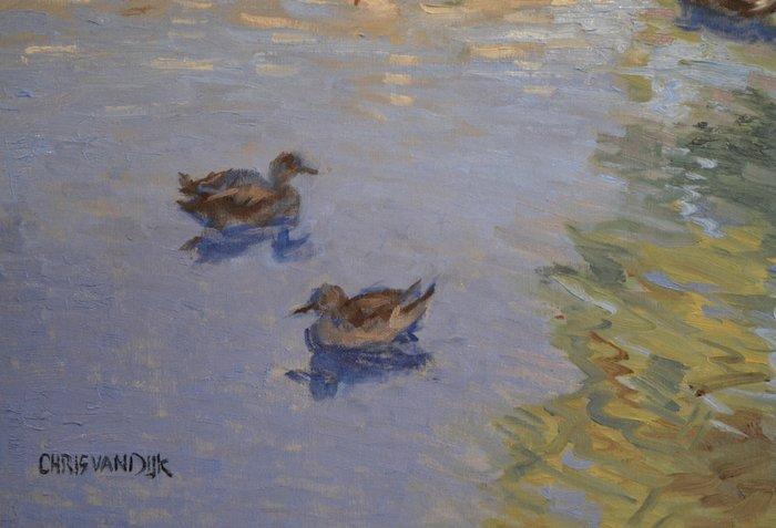 Chris van Dijk (1952) -  Canards dans lArmancon, Antiek en Kunst, Kunst | Schilderijen | Klassiek