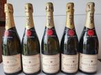 Moët & Chandon - Champagne Brut - 5 Flessen (0.75 liter), Verzamelen, Wijnen, Nieuw