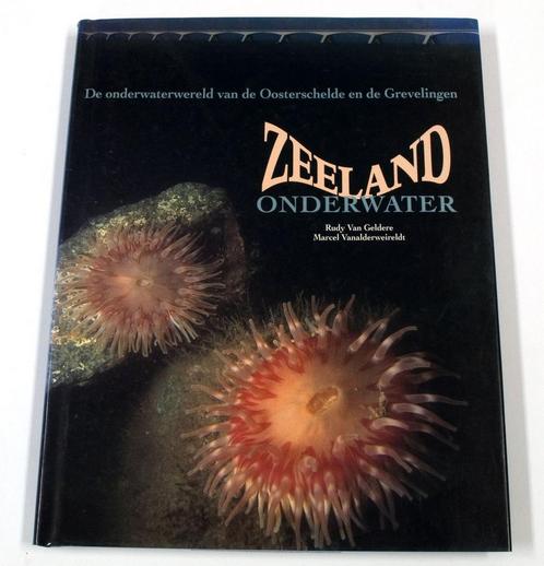 Zeeland onderwater 9789068251289 R. van Geldere, Boeken, Wetenschap, Gelezen, Verzenden