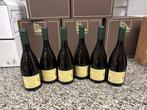 2024 Terlano, Chardonnay Tradition - Trentino Alto Adige DOC, Nieuw