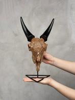 Geen minimumprijs - Authentieke gebeeldhouwde bruine