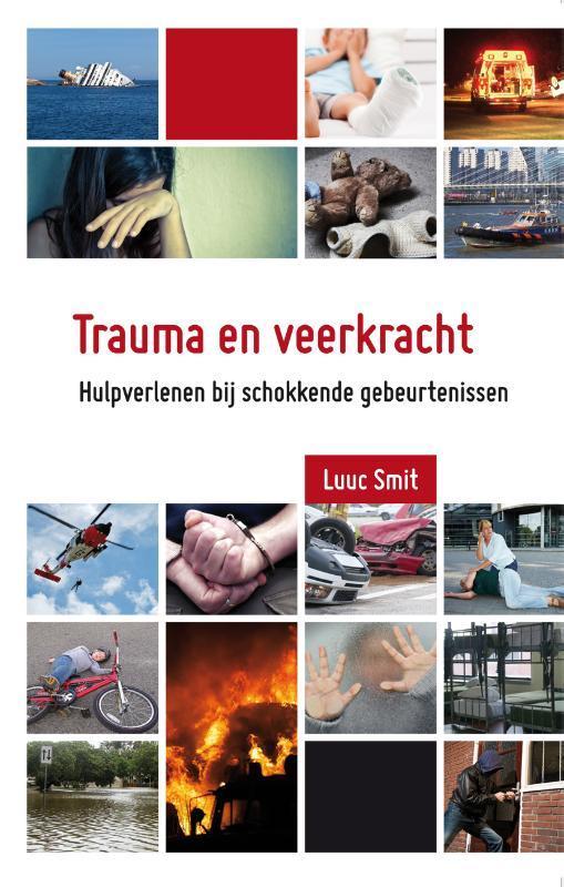 Trauma en veerkracht 9789088507564 Luuc Smit, Livres, Psychologie, Envoi