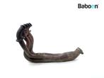 Set courbes déchappement Kawasaki ZX 6 R 2005-2006 (NINJA, Motoren, Verzenden, Nieuw