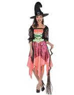 Kleurrijke halloween heks jurk voor dames, Ophalen of Verzenden, Nieuw