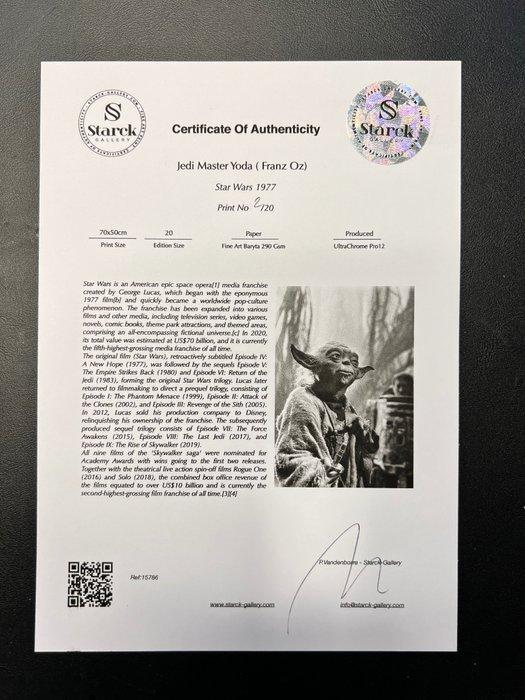 Star Wars Episode V: The Empire Strikes Back, Jedi Master, Verzamelen, Film en Tv