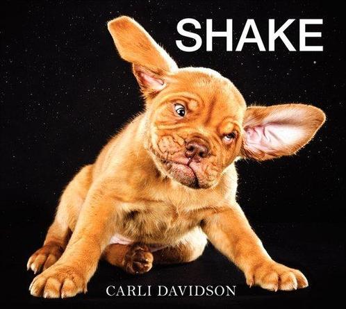 Shake 9780062242648 Carli Davidson, Boeken, Overige Boeken, Zo goed als nieuw, Verzenden