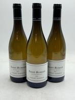 2021 Saint Romain Vieilles Vignes - Vincent Girardin -, Verzamelen, Nieuw