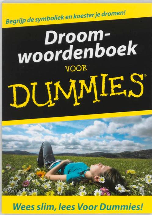 Droomwoordenboek Voor Dummies 9789043016506, Boeken, Esoterie en Spiritualiteit, Zo goed als nieuw, Verzenden