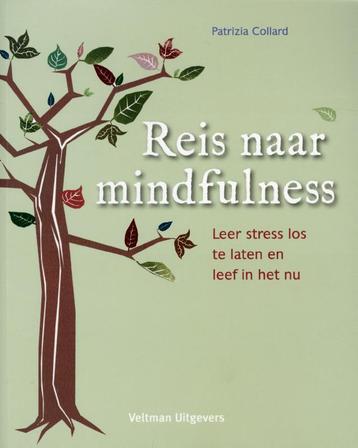 Reis naar mindfulness 9789048307883 Patrizia Collard, Verzenden, Patrizia Collard