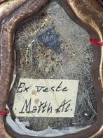 Reliekhouder - Brons, Glas, Textiel - 1850-1900 - Ex Veste -