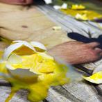 Santicri - Desecrated, Bacco