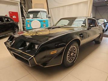 Pontiac Trans AM 6.6 V8 10 TH Anniversary 1979 beschikbaar voor biedingen