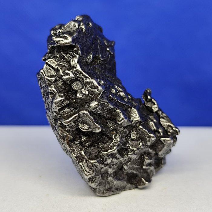 Authentieke ijzeren meteoriet. Sculpturaal CAMPO DEL CIELO, Verzamelen, Mineralen en Fossielen