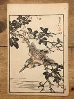 Een zwartkap ijsvogel () - Kono Bairei (1844-1895) - Japan