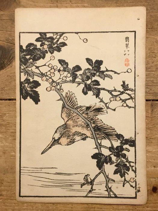 Een zwartkap ijsvogel () - Kono Bairei (1844-1895) - Japan, Antiquités & Art, Antiquités | Autres Antiquités
