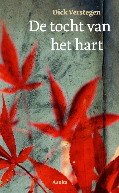De Tocht Van Het Hart 9789056702571 Dick Verstegen, Boeken, Filosofie, Zo goed als nieuw, Verzenden