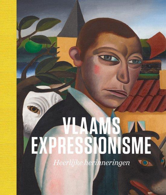 Vlaams expressionisme 9789464666229 Thijs de Raedt, Boeken, Kunst en Cultuur | Beeldend, Zo goed als nieuw, Verzenden