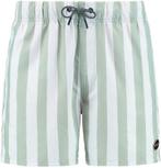 Shiwi Zwembroek Mac Lichtgroen maat Maat 52/54 (L) Heren, Verzenden