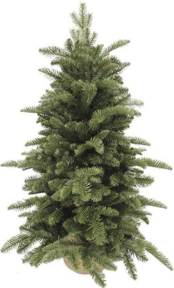 Tweedekans | Triumph Tree Abies Nordmann Deluxe beschikbaar voor biedingen