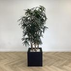 kunstplant bamboe met pot, 198 cm hoog, Huis en Inrichting, Kamerplanten