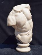 Sculpture, Torso Gaddi - 8 kg - 37 cm - Marbre de Carrare, Antiek en Kunst