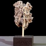 Rara Folgorite. Energie vrijgegeven door een bliksem. -