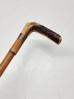 Canne de marche - gewei