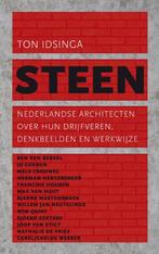 Steen 9789025366933 Ton Idsinga, Boeken, Verzenden, Gelezen, Ton Idsinga