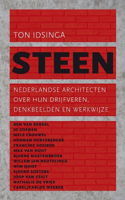 Steen 9789025366933 Ton Idsinga, Boeken, Kunst en Cultuur | Beeldend, Gelezen, Verzenden