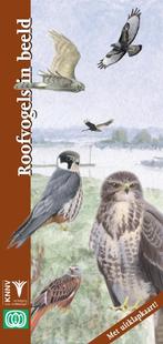 Roofvogels in beeld / In beeld / 19 9789050112741, Boeken, Verzenden, Zo goed als nieuw, D.M. de Vos