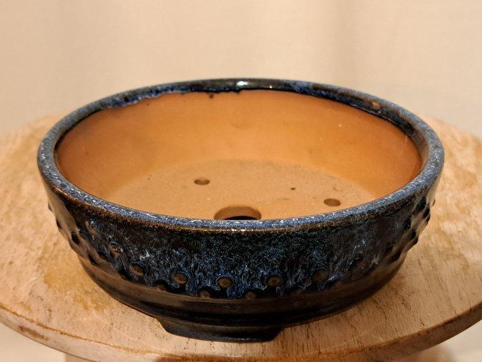 Bonsai schaal - 15,5 cm x 5cm - blauw geglazuurd - Hoogte, Antiquités & Art, Curiosités & Brocante