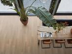Floorlife / Ambiant Newham PVC Click 6012841119 laminaat, Doe-het-zelf en Bouw, Ophalen of Verzenden, Nieuw