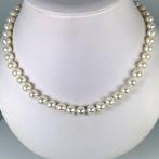 Halsketting Zilver Parel - Akoya NRD Ø 8×8,5 mm