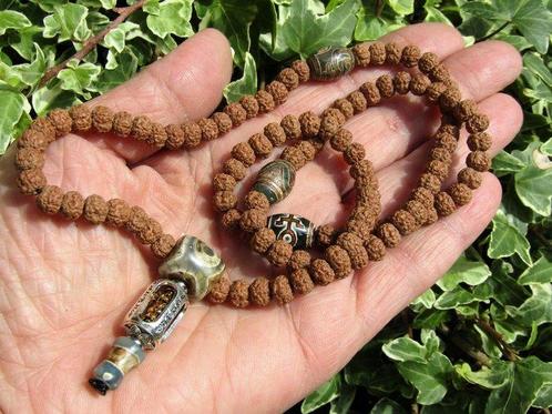 Mala de méditation Multi-Dzi Rudraksha (108) avec perle en, Verzamelen, Mineralen en Fossielen