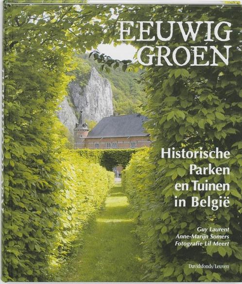 Eeuwig groen 9789058266873 Anne-Marijn Somers, Boeken, Geschiedenis | Wereld, Zo goed als nieuw, Verzenden