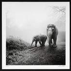 Frank Machalowski - tierwald #43