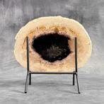 Belle tranche de racine de palmier pétrifiée sur un support