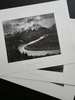 Ansel Adams (1902–1984) - Ruines de la Maison blanche, Rose