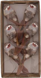Vogeltjes op clip Donkerbruin 12,5x3,5x3,5 cm 6 stuks, Hobby & Loisirs créatifs