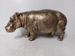 Beeld, hippopotamus (hippo) in gold bronze finish - 24 cm -, Antiek en Kunst