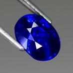 Blauw Saffier - 3.54 ct - Lotus Gemology, Nieuw