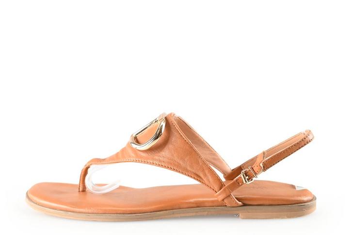 Twinset sandalen in maat 38 Bruin | 5% korting, Kleding | Dames, Schoenen, Bruin, Gedragen, Sandalen of Muiltjes, Verzenden