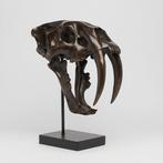 Sabeltandkat Schedel - (Smilodon) - 38 cm - 18 cm - 32 cm, Nieuw