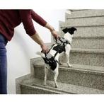 Harnais de transport travel protect gris, s, Animaux & Accessoires, Accessoires pour chiens