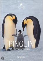 Pingun 9783836508841 Dabner, Boeken, Verzenden, Zo goed als nieuw, Dabner