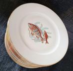 Seltmann Weiden - Service de dîner (13) - Pesci - Porcelaine, Antiek en Kunst