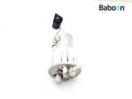 Benzinepomp Yamaha XT 660 Z Tenere 2008-2011 (XT660Z), Verzenden, Gebruikt